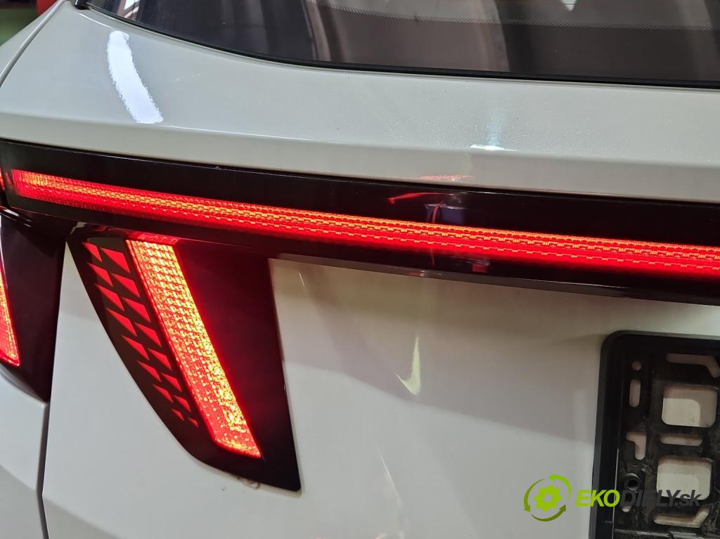 Hyundai Tucson IV 2020- 1.6 T-GDI 150 hp manual 110.1 kW 1598 cm3 5- zaslepka: zadní N7924-62050