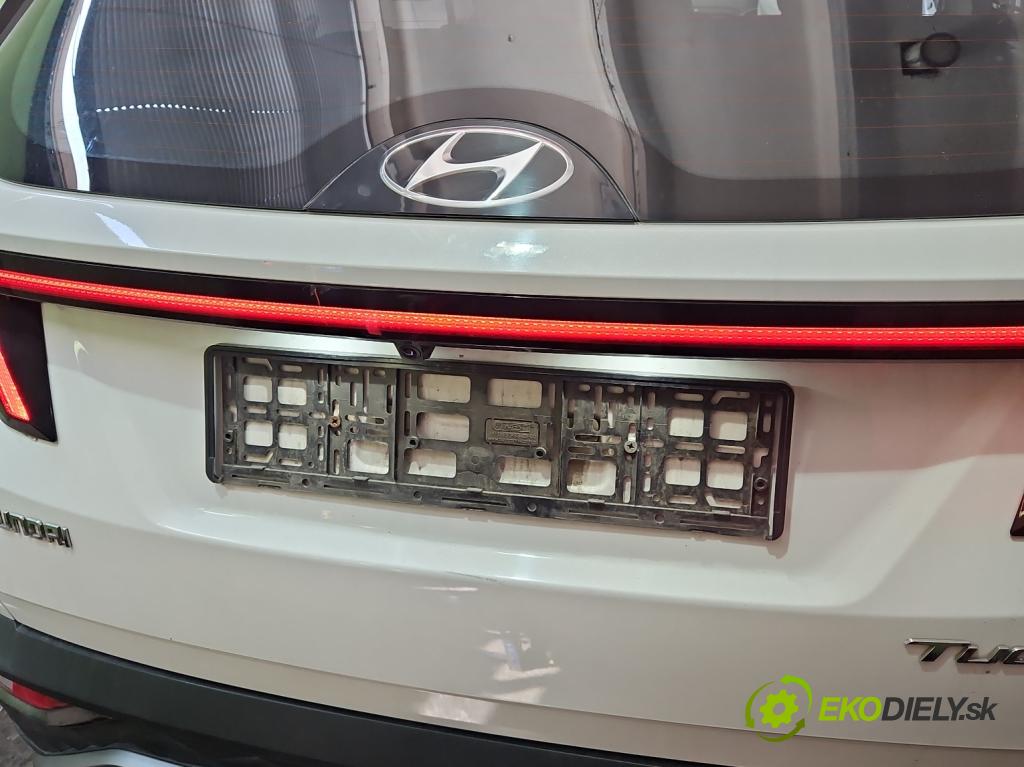 Hyundai Tucson IV 2020- 1.6 T-GDI 150 hp manual 110.1 kW 1598 cm3 5- zaslepka: zadní N7924-62050