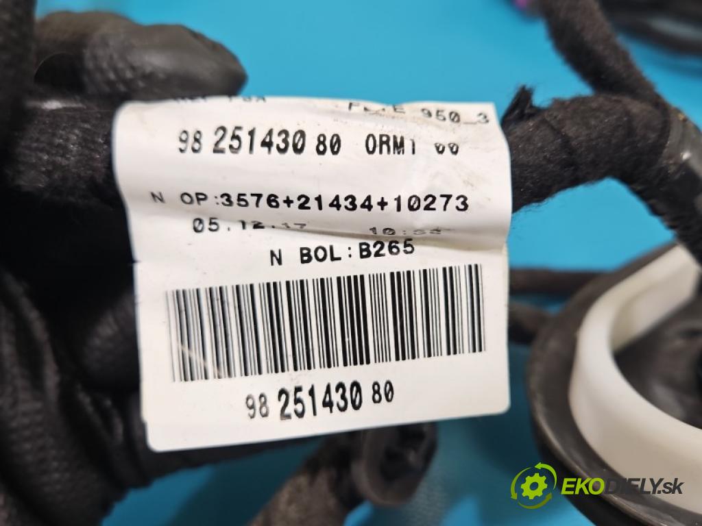 Opel Grandland 2017–2024 1.2 T 131 hp manual 96 kW 1199 cm3 5- Balíček: dveře přední vlevo 9825143080