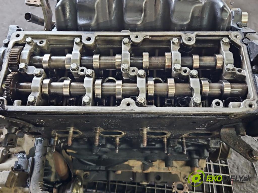 Vw Caddy III 2K 2003-2020 1.6 tdi 75 hp manual 55 kW 1598 cm3 5- motor diesla CAY