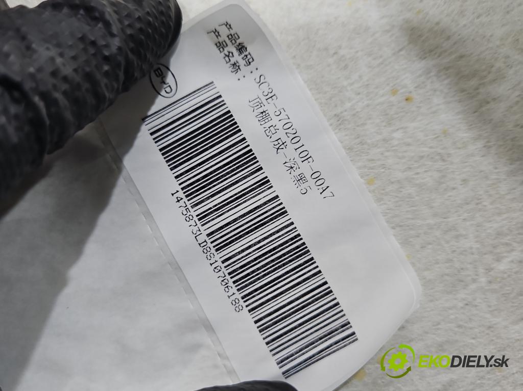 BYD ATTO 2 4 casti: