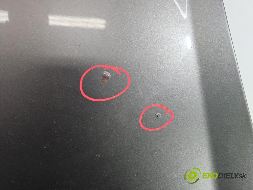 Fiat Bravo II 2007-2014 1.6 jtd 198A2000 5890128 120 HP manual 88 kW 1598 cm3 5- kapota predná