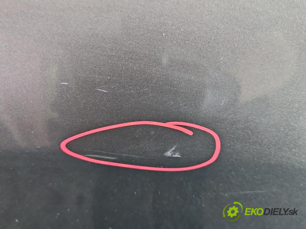 Fiat Bravo II 2007-2014 1.6 jtd 198A2000 5890128 120 HP manual 88 kW 1598 cm3 5- dvere zadné pravé  (Kľučka dverí ostatné)