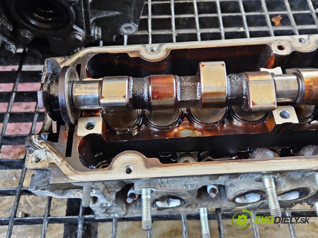 Fiat Punto Grande 1.4 8V 350A1000 77 hp manual 57 kW 1368 cm3 3- hlava motoru 55195018