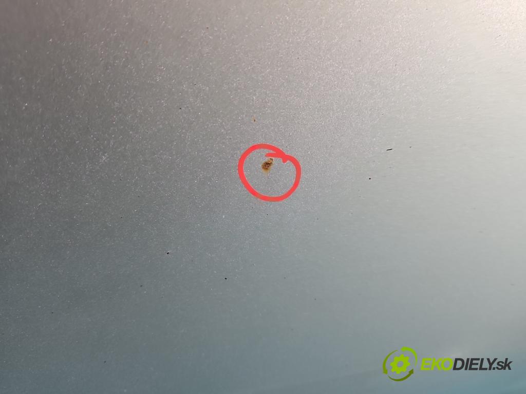 DR Automobiles DR5 2007-2020 1.6 16V 109 HP manual 80 kW 1579 cm3 5- dvere predné pravé  (Kľučka dverí ostatné)