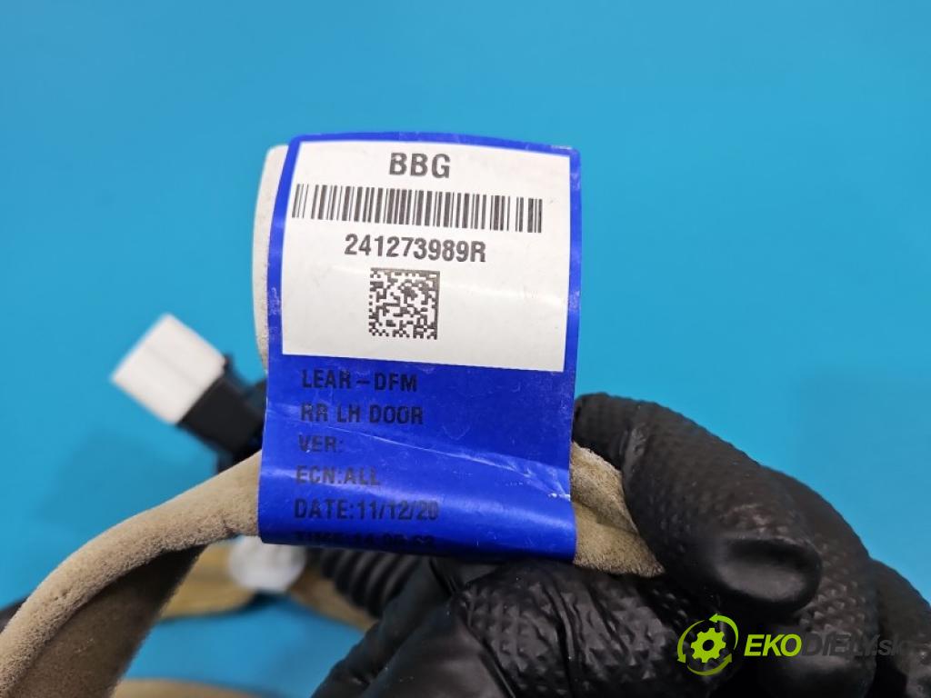 Dacia Spring 0.0 45KM automatic 33 kW  5- Balíček: dveře zadní vlevo 241273989R