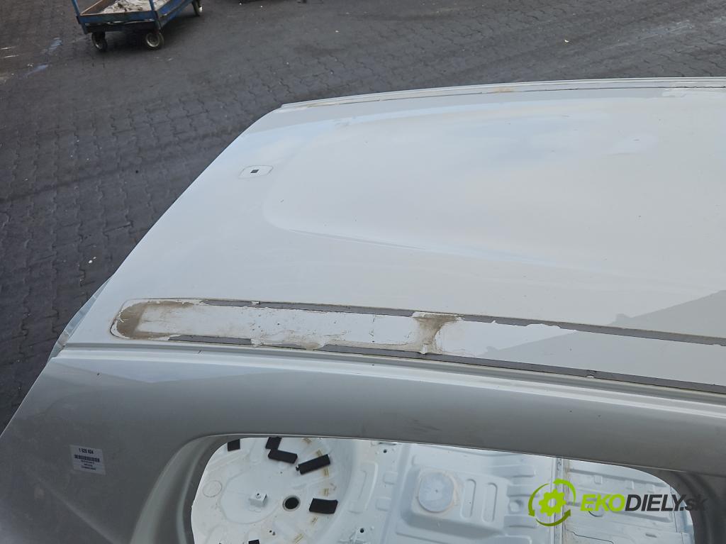 Dacia Spring 0.0 45KM automatic 33 kW 5- Strecha: