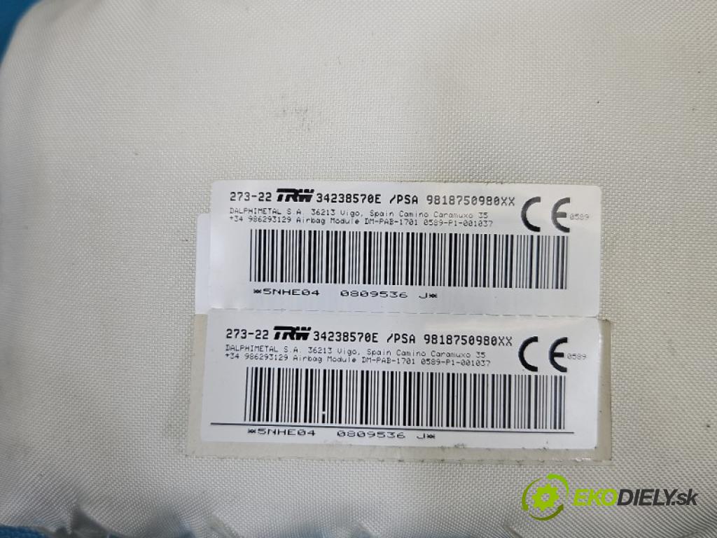 Peugeot Rifter 1.5 hdi 131 HP manual 96 kW 1499 cm3 5- airbag vzduch: spolujezdce: 9818750980 (Airbag)