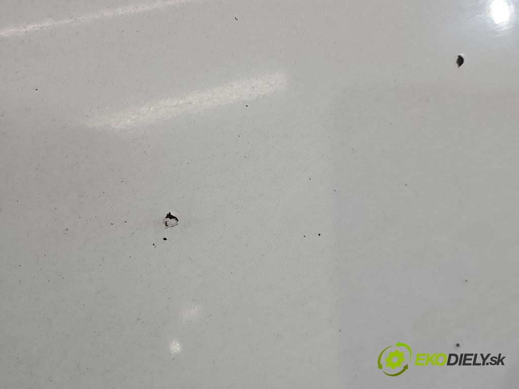 Nissan Primastar 2001-2014 2.0 dci 90 HP manual 66 kW 1995 cm3 5- kapota predná