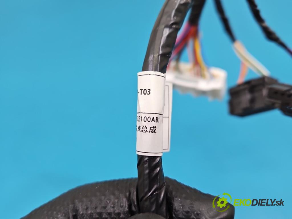 Leapmotor T03 0.0 95 HP automatic 70 kW 1 cm3 5- Zväzok: ostatné