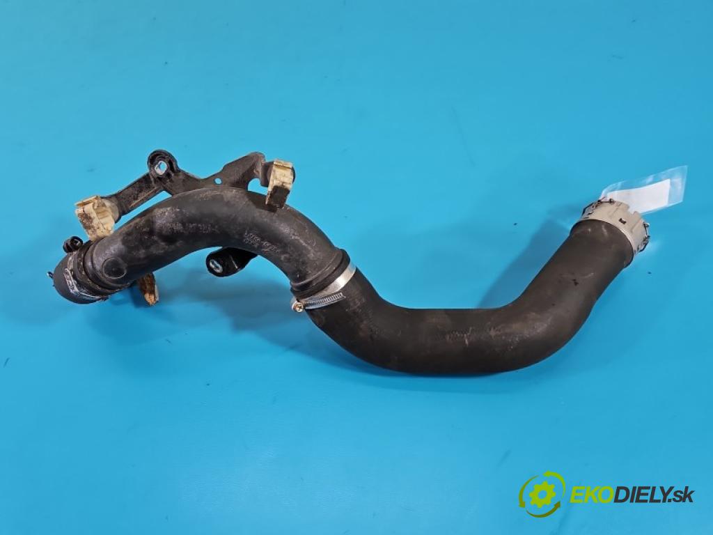 Nissan Juke I 2010-2019 1.2 T 116 HP manual 85 kW 1197 cm3 5- Trubka: