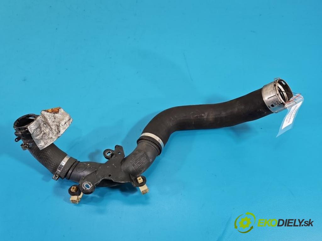 Nissan Juke I 2010-2019 1.2 T 116 HP manual 85 kW 1197 cm3 5- Trubka: 