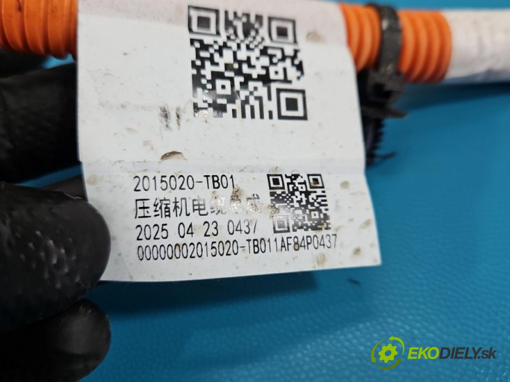 Leapmotor T03 0.0 95 HP automatic 70 kW 1 cm3 5- Zväzok: ostatné 2015020-TB01