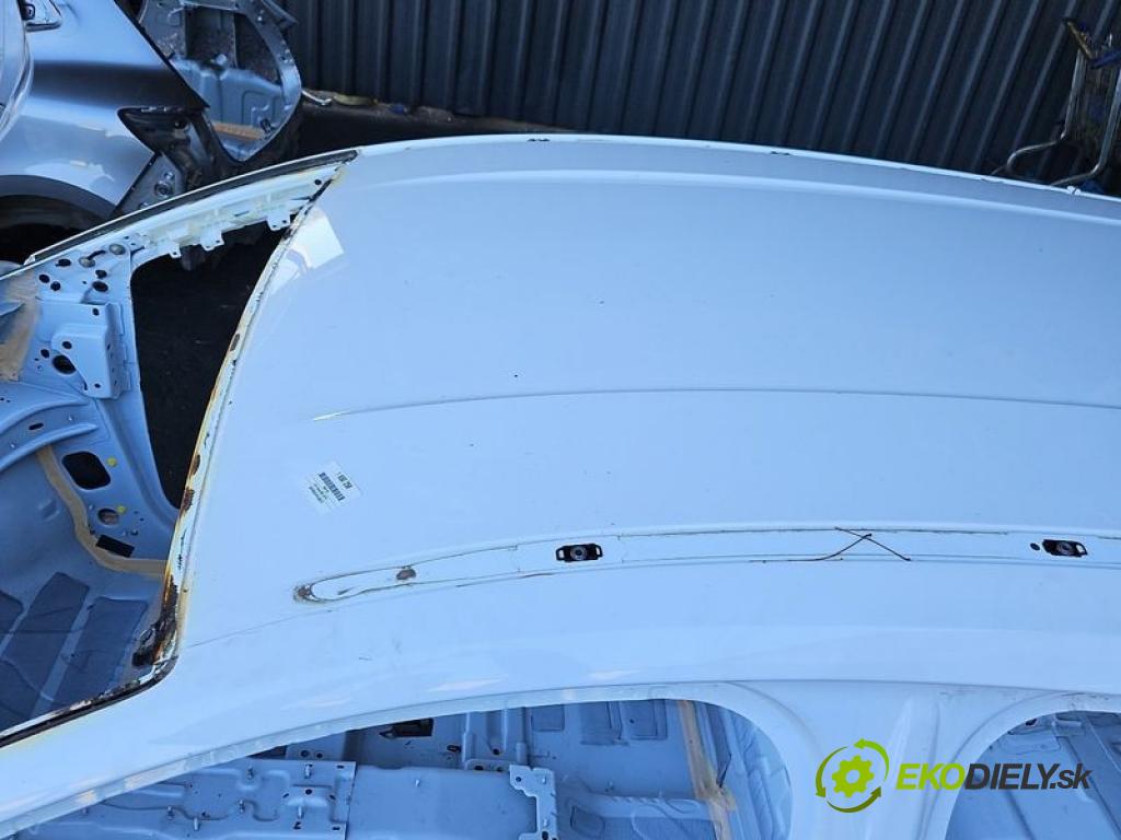 Ford Focus Mk4 2018- 2.0 TDCI 150 hp automatic 110 kW 1995 cm3 5- Strecha:
