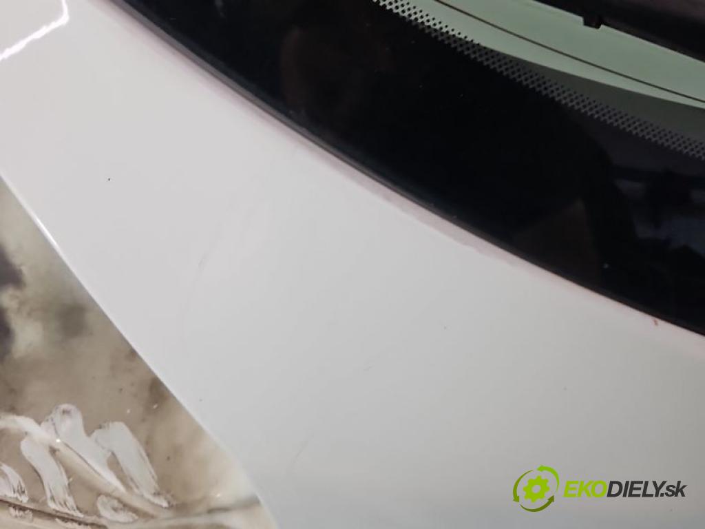 Renault Megane III 2008-2016 1.5 dci 90 hp manual 66 kW 1461 cm3 5- zadní kufrové dveře  (Zadní kapota (kufr))