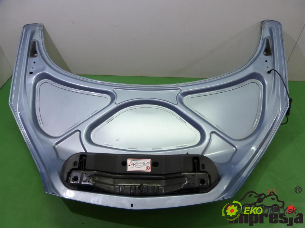 Opel Tigra B 2004-2009 1.4 16V 90 hp  66 kW 1400 cm3  zadní část kapota  (Zadní kapoty)
