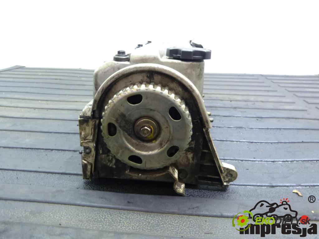 Honda Civic VI 1995-2001 1.6 16V 126 HP  93 kW 1600 cm3  Hlava valcov Motor D16Y2
