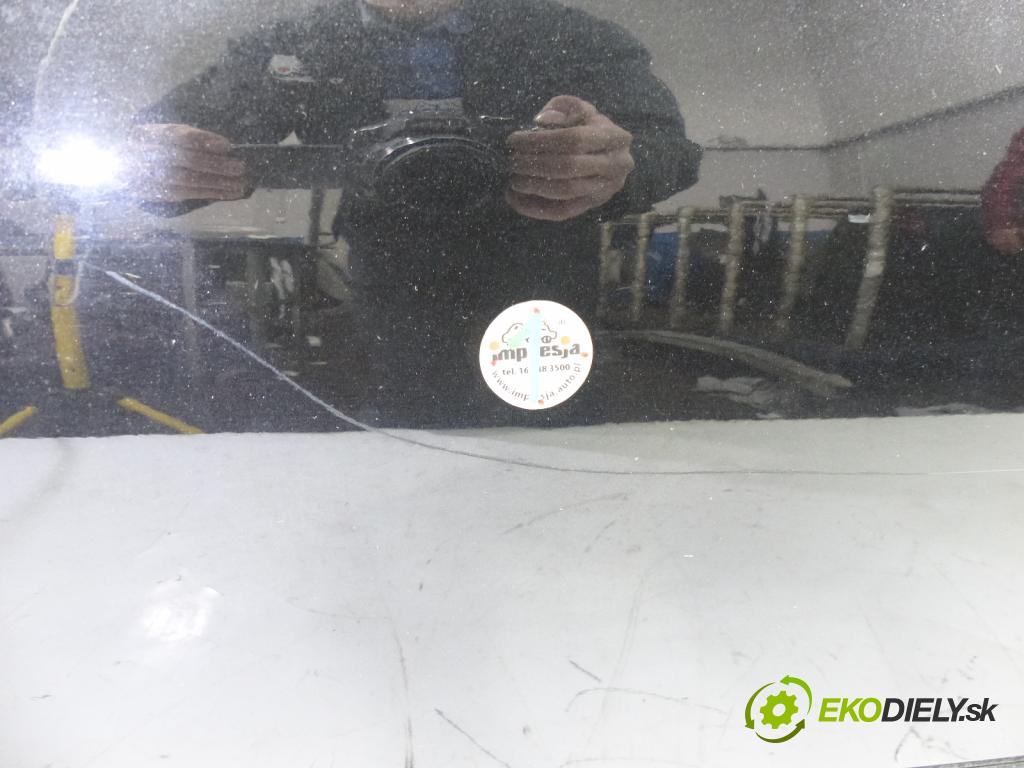 Nissan Almera N16 2000-2006 1.8 16V 116 HP  85 kW 1800 cm3  Dvere predný ľave  (Ostatné)