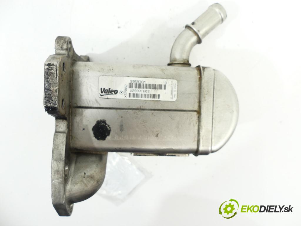 Renault Megane III 2008-2016 1.9 DCI 131 HP 96 kW 1900 cm3 Chladič spalín