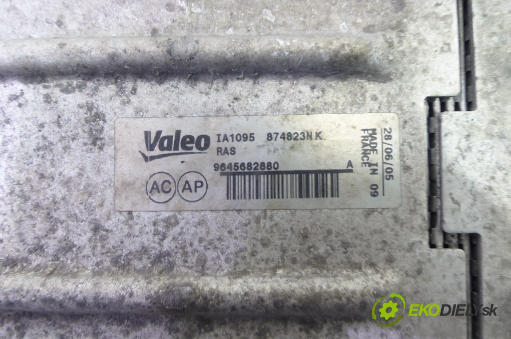 Peugeot 407 1.6 HDI 109 hp manual 80 kW 1560 cm3  intercooler 9645682880 (Chladiče nasávaného vzduchu (intercoolery))