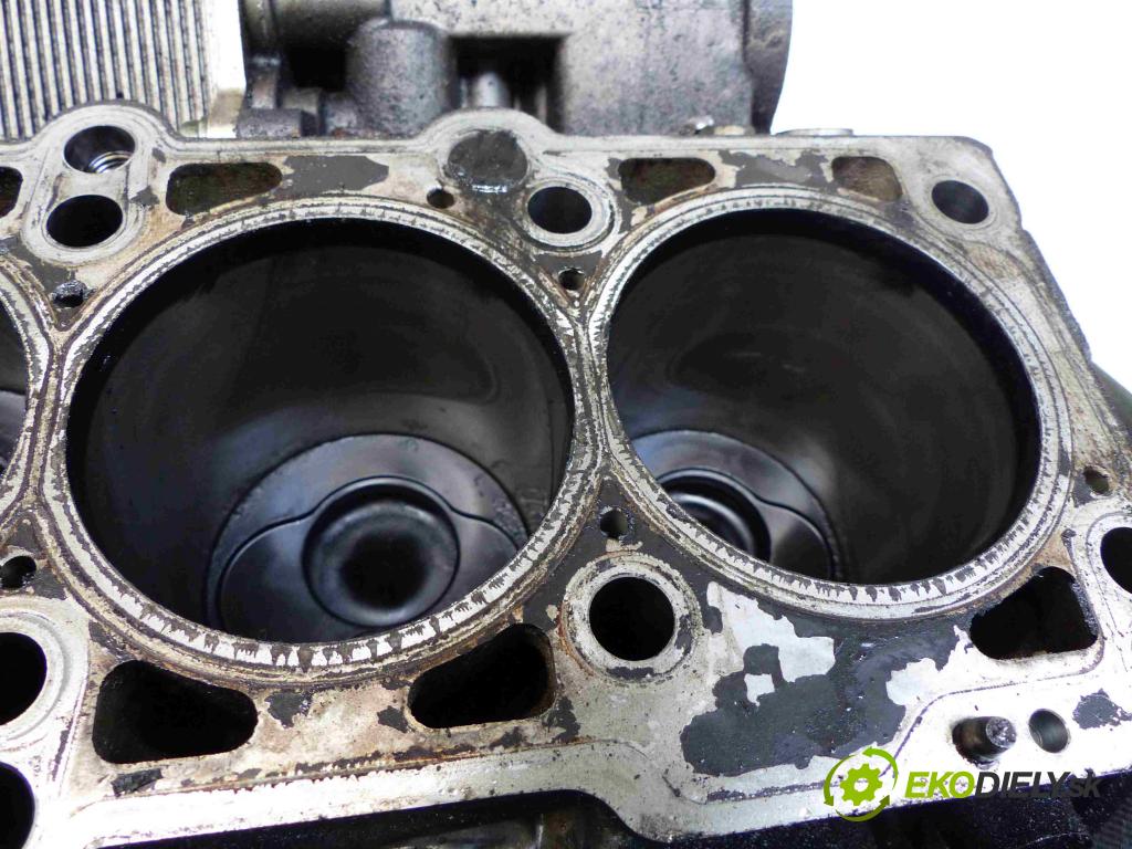 Vw Phaeton 5.0 tdi 313 HP automatic 230 kW 4921 cm3 4- Blok AJS (Blok motora)