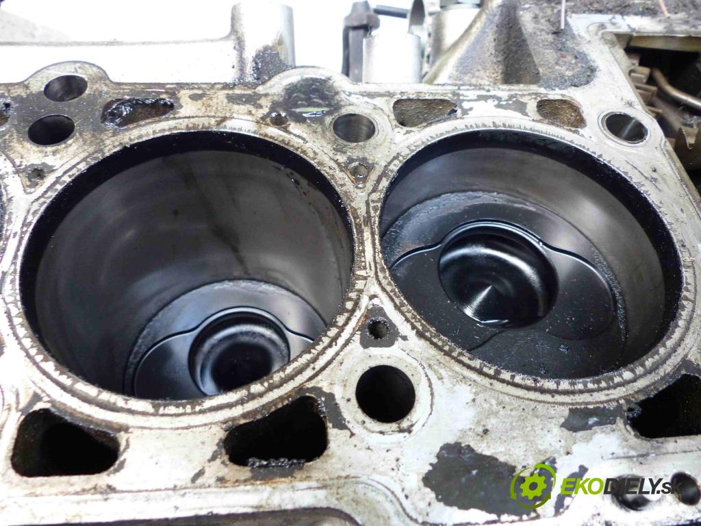 Vw Phaeton 5.0 tdi 313 HP automatic 230 kW 4921 cm3 4- Blok AJS (Blok motora)