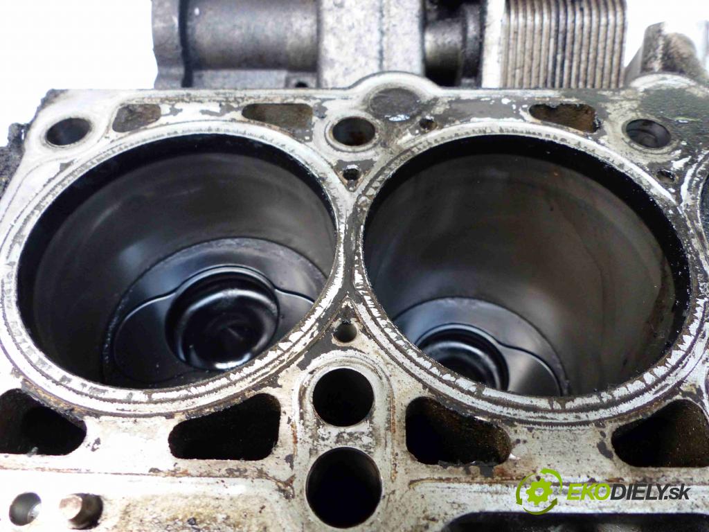 Vw Phaeton 5.0 tdi 313 HP automatic 230 kW 4921 cm3 4- Blok AJS (Blok motora)