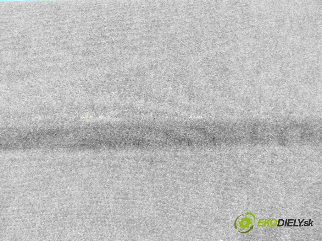 Renault Megane II 2003-2008 1.6 16v 113 HP manual 83 kW 1598 cm3 5- zadná 8200034999 (Pláta zadné)