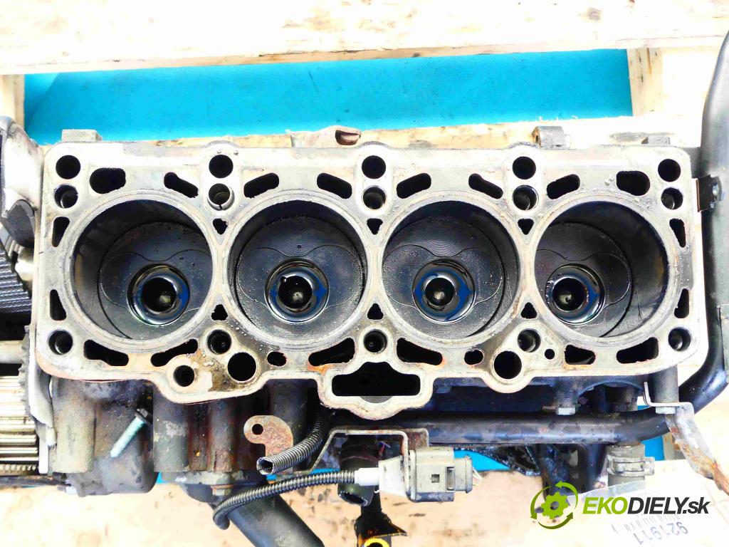 Vw Golf V 2003-2009 1.9 tdi (BKC) 105 HP manual 77 kW 1896 cm3 5- Blok motora BKC (Blok motora)