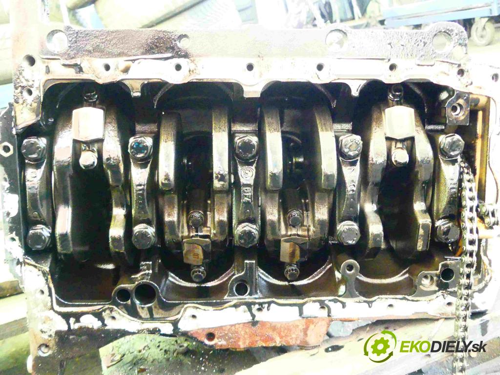 Vw Golf V 2003-2009 1.9 tdi (BKC) 105 HP manual 77 kW 1896 cm3 5- Blok motora BKC (Blok motora)