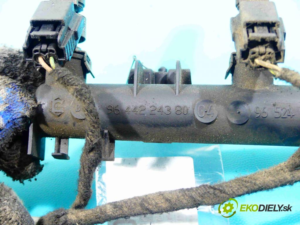 Peugeot 307 1.4 16v 88 HP manual 65 kW 1360 cm3 5- vstrek IPM12 (Vstrekovače)