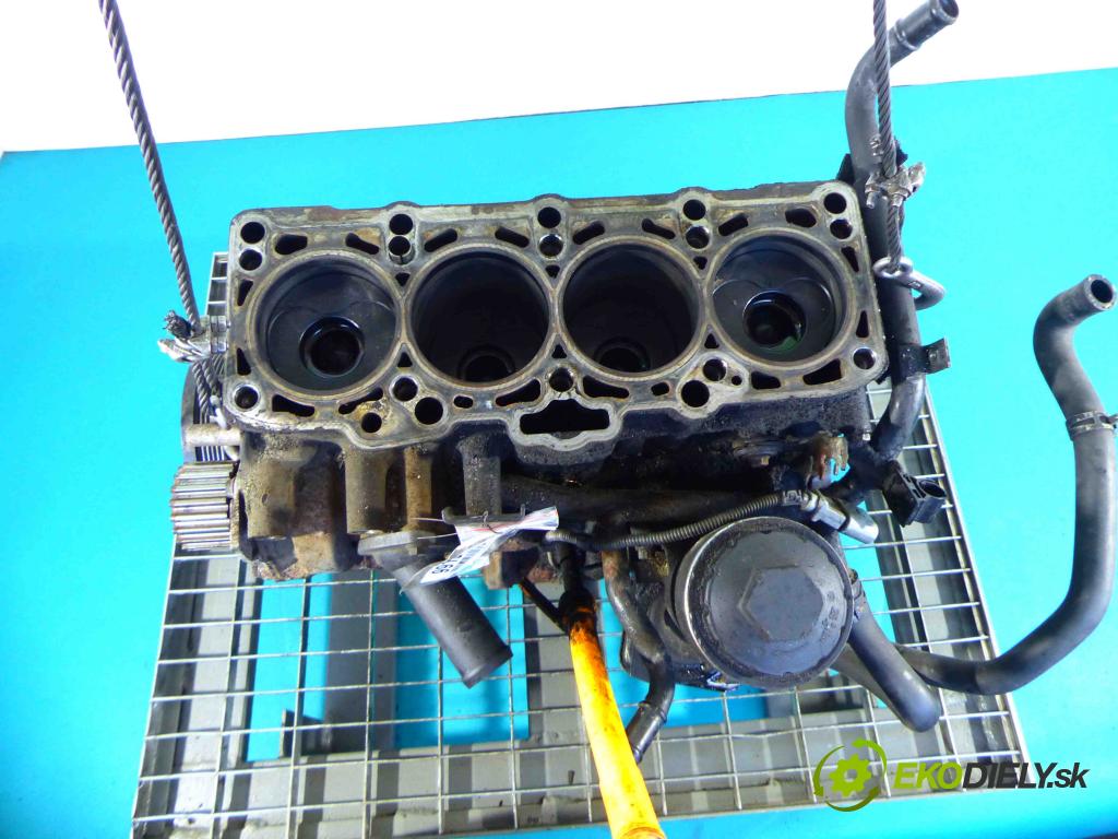 Seat Ibiza III 6L 2002-2008 1.9 tdi 101 HP manual 74 kW 1896 cm3 3- Blok motora  (Blok motora)