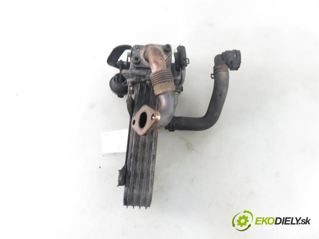 VW PASSAT B6 Variant (3C5) KOMBI 2006 77,00 1.9 TDI - BXE 1896,00 Chladič spalín 036131513AD