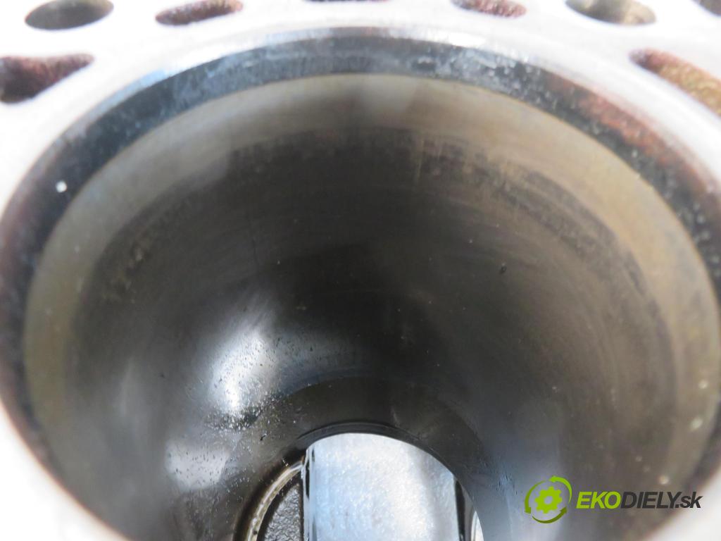 LAND ROVER RANGE ROVER SPORT (L320) SUV 2007 140,00 2.7 TDV6 4x4 190 - 276DT (PSA) 2720,00 blok Motor  (Blok motora)