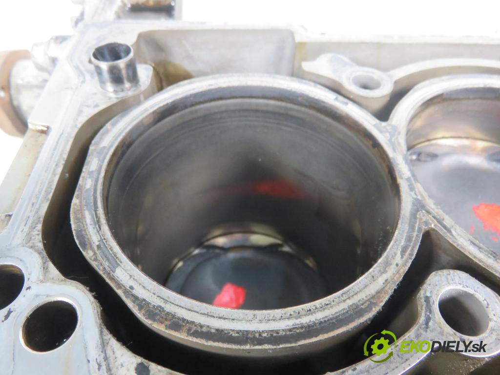 VW POLO (6R, 6C) HB 2010 44,00 1.2 - CGPB 1198,00 blok Motor CGPB (Blok motora)