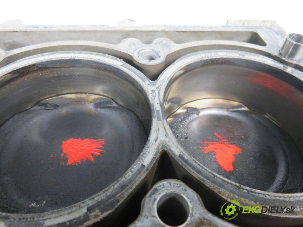 VW POLO (6R, 6C) HB 2010 44,00 1.2 - CGPB 1198,00 blok Motor CGPB (Blok motora)