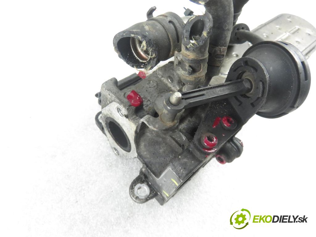 VW TOURAN (1T1, 1T2) MINIVAN 2004 100,00 2.0 TDI PD 16V 136 - AZV 1968,00 chladič spalín 03G131063 ; 03G131513