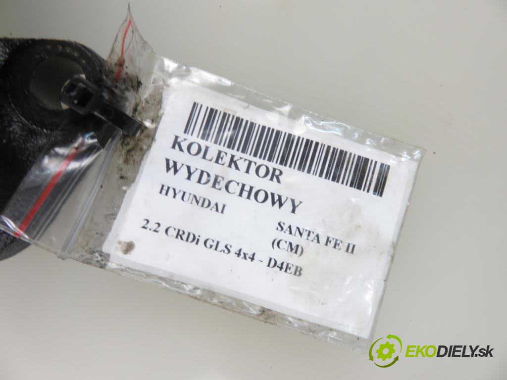 HYUNDAI SANTA FÉ II (CM) SUV 2006 110,00 2.2 CRDi GLS 4x4 150 - D4EB 2188,00 potrubí VYČERPAT: (Výfukové potrubí)