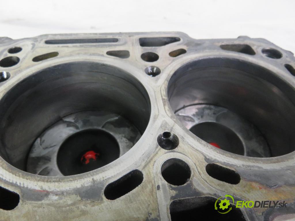 FIAT BRAVO II (198_) HB 2009 66,00 1.6 D Multijet - 198 A6.000 1598,00 blok Motor 198A6000 (Blok motora)