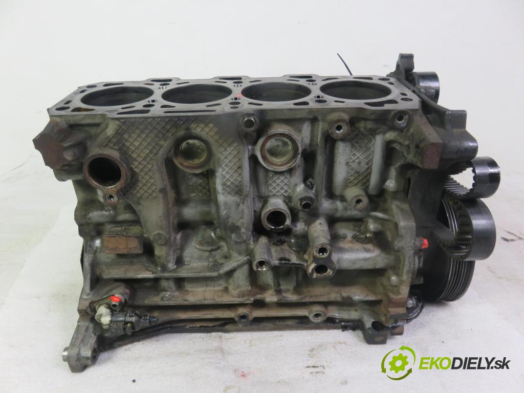 FIAT BRAVO II (198_) HB 2009 66,00 1.6 D Multijet - 198 A6.000 1598,00 blok Motor 198A6000 (Blok motora)