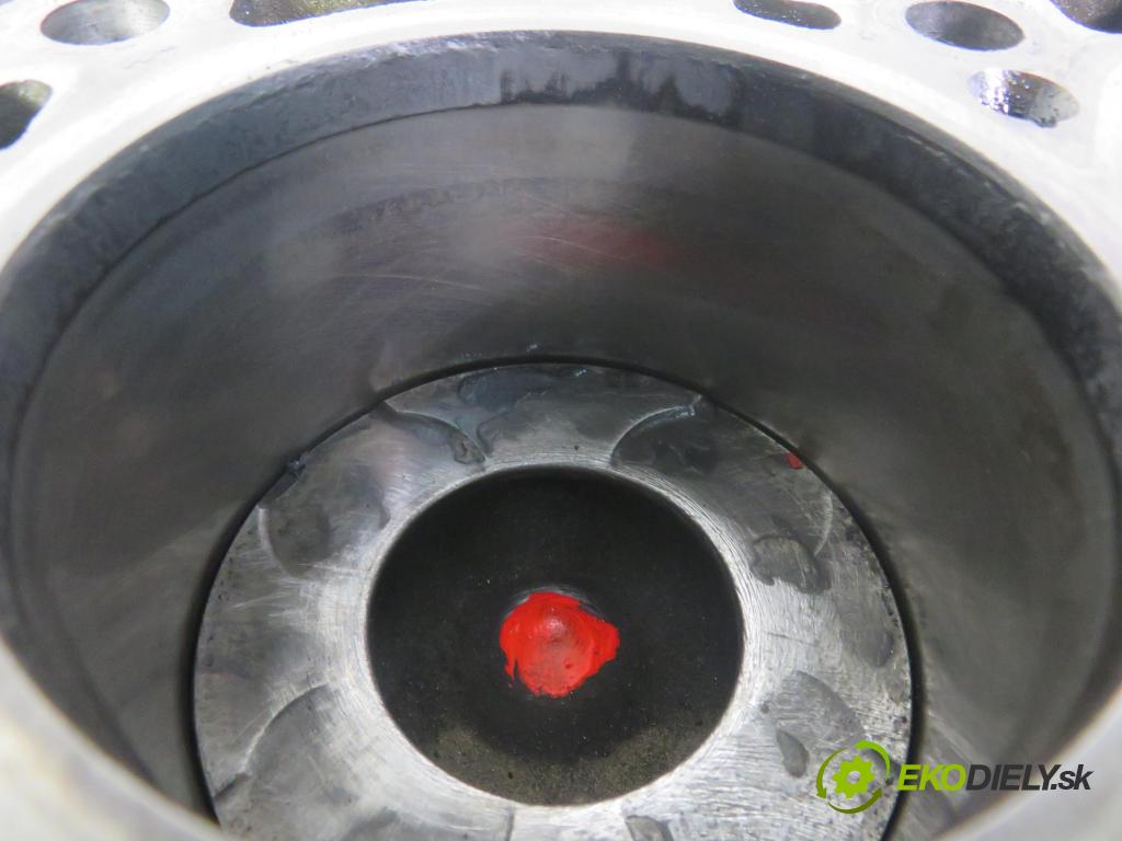 FIAT BRAVO II (198_) HB 2009 66,00 1.6 D Multijet - 198 A6.000 1598,00 blok Motor 198A6000 (Blok motora)