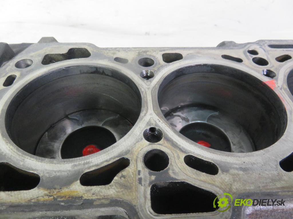 FIAT BRAVO II (198_) HB 2009 66,00 1.6 D Multijet - 198 A6.000 1598,00 blok Motor 198A6000 (Blok motora)