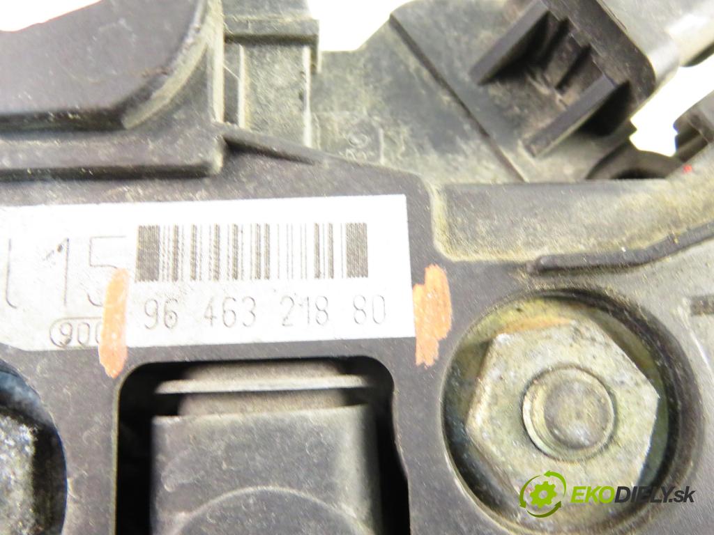 PEUGEOT 307 (3A/C) HB 2003 79,00 2.0 HDi 110 - RHS 1997,00 Alternátor 9646321880 (Alternátor)