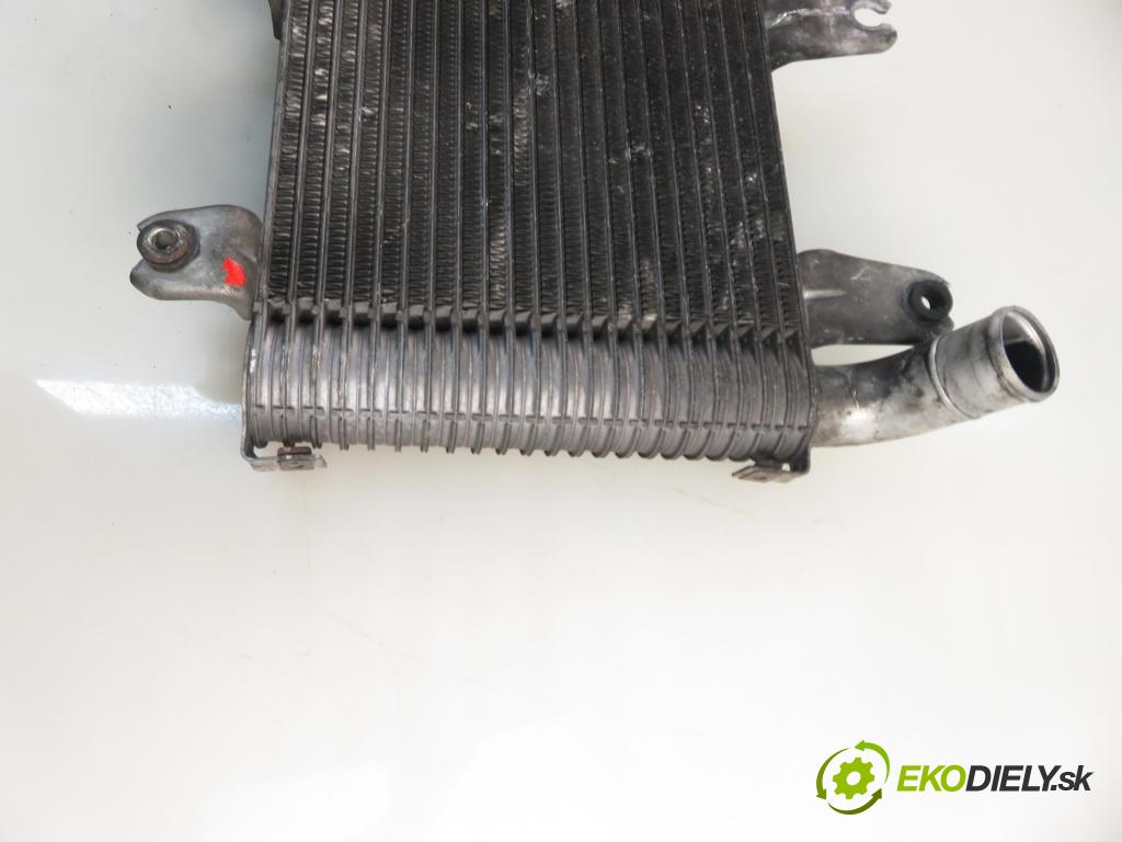 KIA CARNIVAL II (GQ) MINIVAN 2004 106,00 2.9 CRDi - J3 2902,00 chladič intercooler 55313550