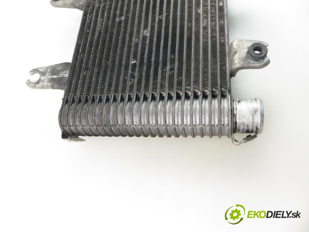 KIA CARNIVAL II (GQ) MINIVAN 2004 106,00 2.9 CRDi - J3 2902,00 chladič intercooler 55313550