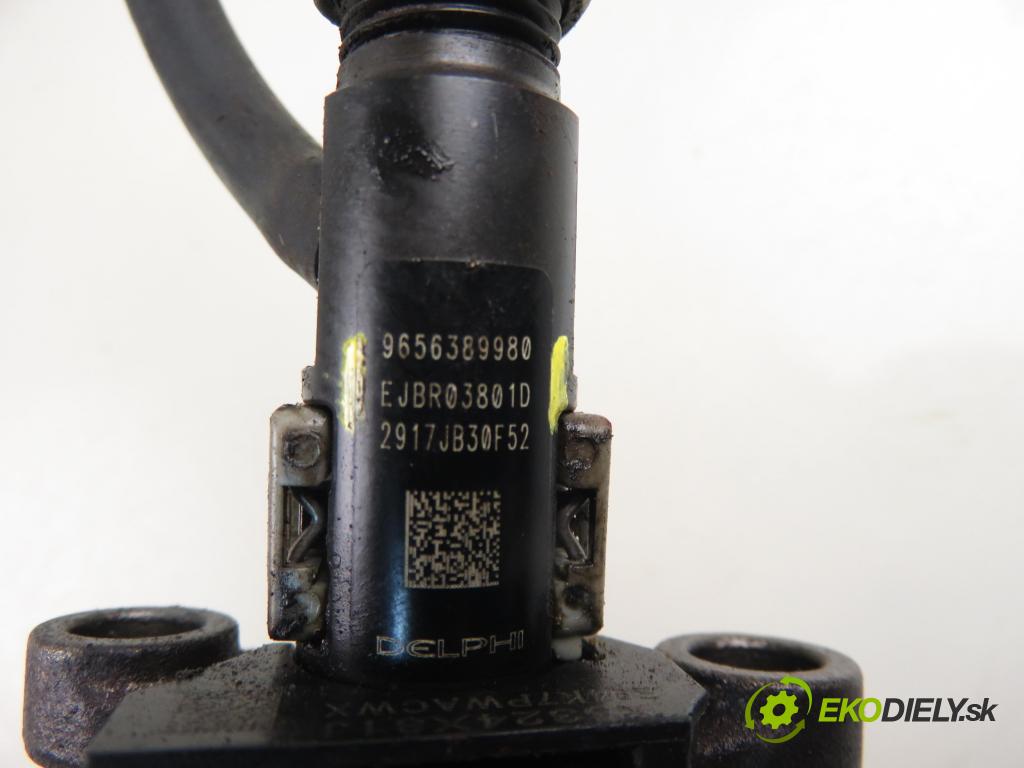 CITROEN C5 III Break (RW_) KOMBI 2009 100,00 2.0 HDi - RHR (DW10BTED4) 1997,00 vstrekovač EJBR03801D ; 9656389980 (Vstrekovač paliva)