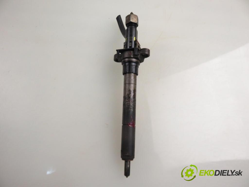 CITROEN C5 III Break (RW_) KOMBI 2009 100,00 2.0 HDi - RHR (DW10BTED4) 1997,00 vstrekovač EJBR03801D ; 9656389980 (Vstrekovač paliva)