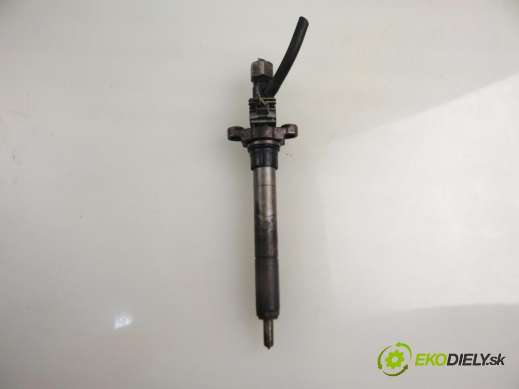 CITROEN C5 III Break (RW_) KOMBI 2009 100,00 2.0 HDi - RHR (DW10BTED4) 1997,00 vstrekovač EJBR03801D ; 9656389980 (Vstrekovač paliva)