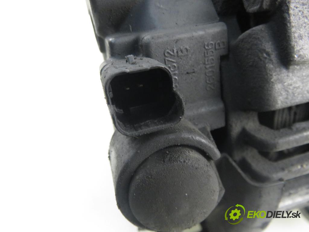 PEUGEOT PARTNER Combispace (5F) KOMBIVAN 2004 66,00 2.0 HDI - RHY (DW10TD) 1997,00 Alternátor 9646476280 (Alternátor)