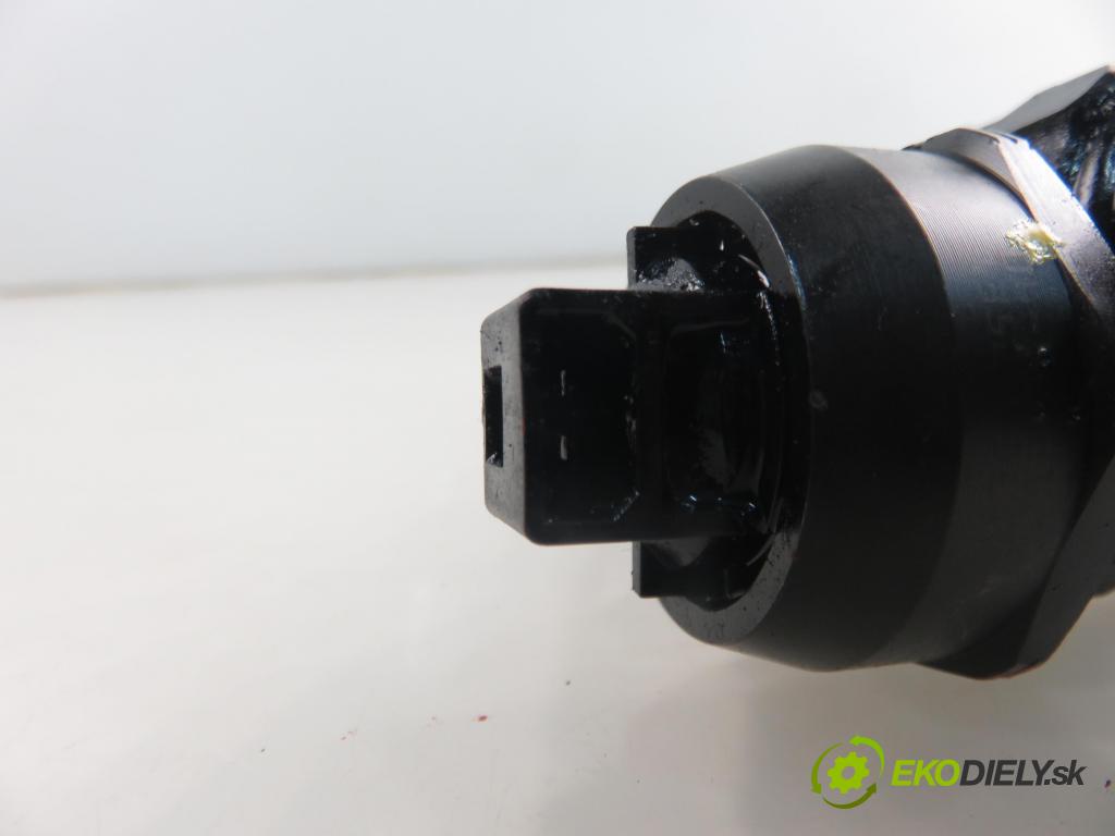 SEAT IBIZA III (6L1) HB 2006 74,00 1.9 TDI - AXR 1896,00 Vstrekovač 038130073AG (Vstrekovač paliva)